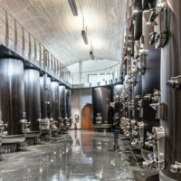 Partner State of the art winery photo